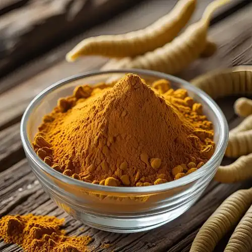 Cordyceps Militaris vs. Sinensis: Which One Should You Choose?